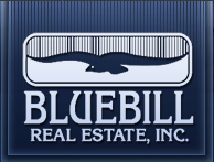 BlueBill Real Estate Inc.